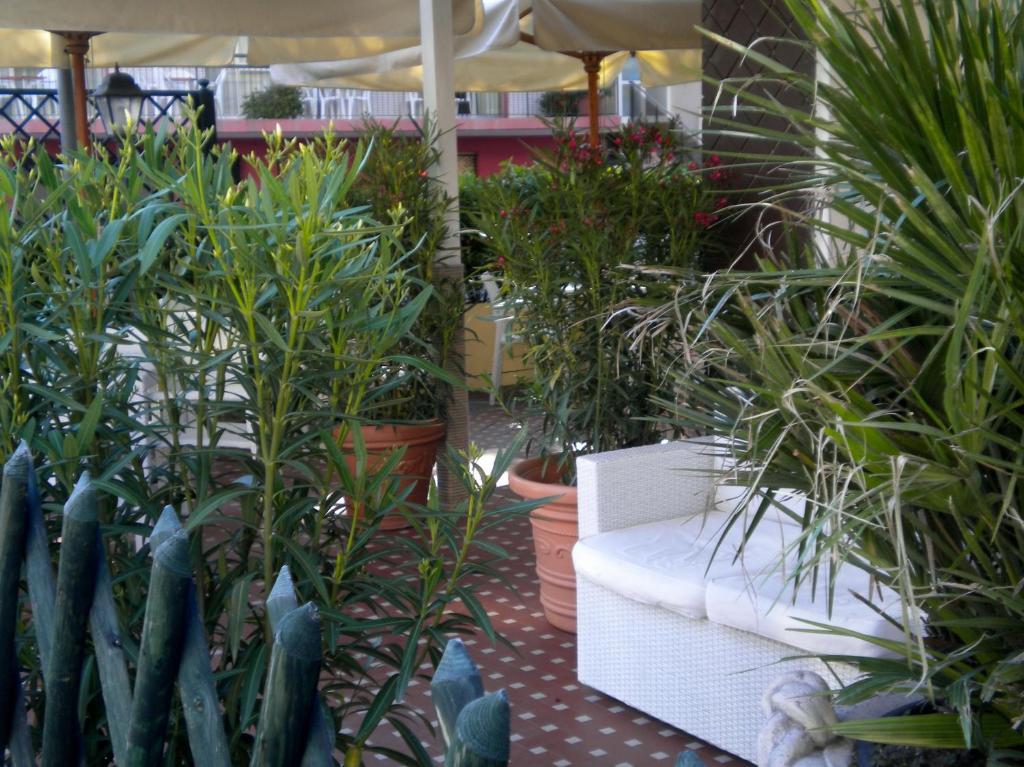 Hotel Nova Dhely Rimini Exterior foto